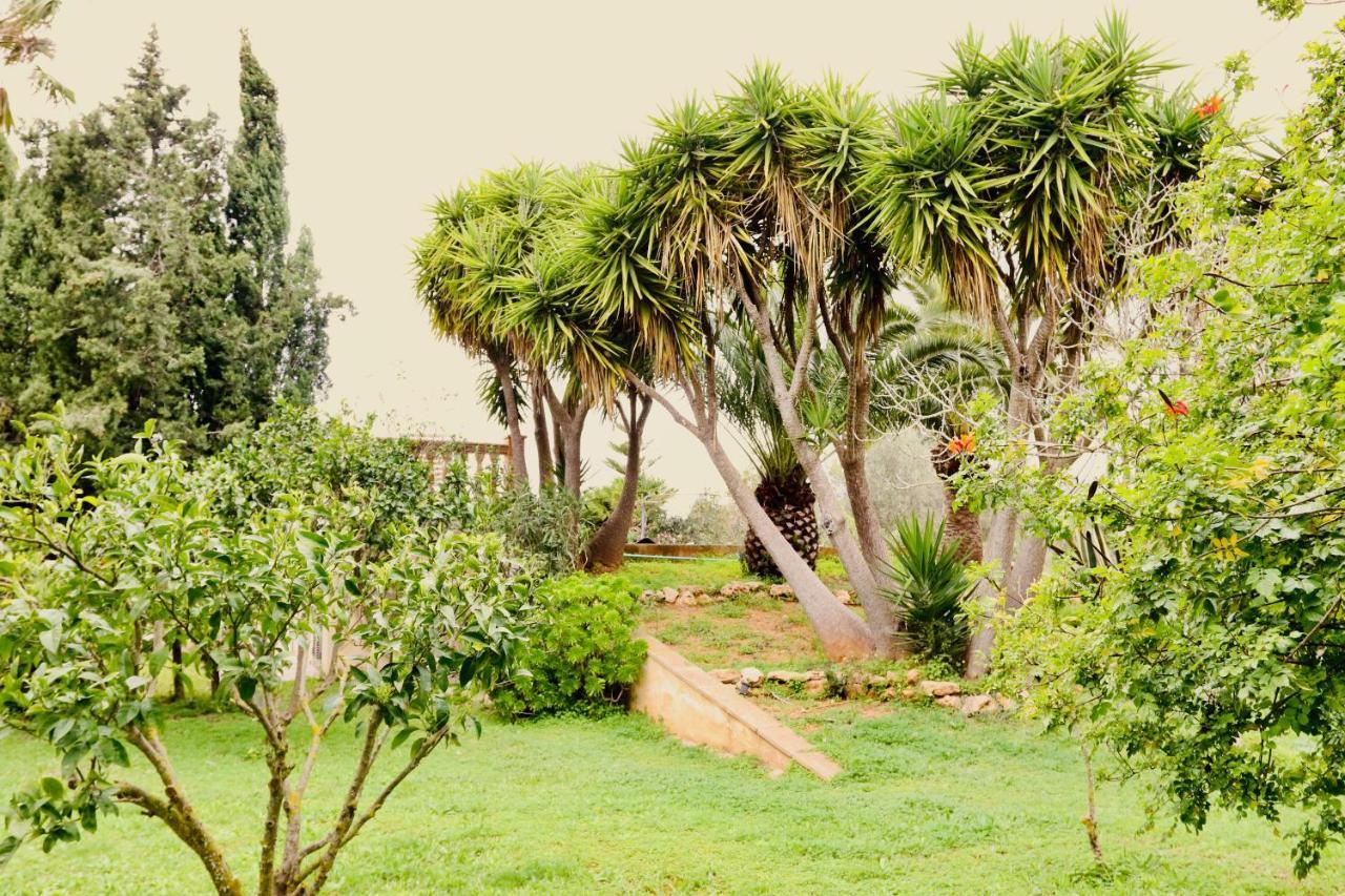 Finca Randa, Llucmayor, Bis 3 Sz, Pool, Garten Llucmajor Kültér fotó