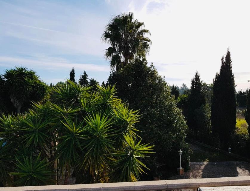 Finca Randa, Llucmayor, Bis 3 Sz, Pool, Garten Llucmajor Kültér fotó